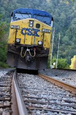 CSX355